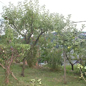 Tutnovo 13 , Rijeka Kroatien